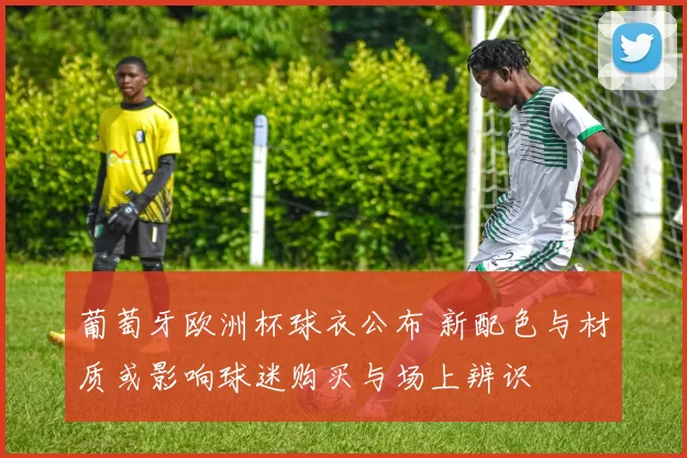 葡萄牙欧洲杯球衣公布 新配色与材质或影响球迷购买与场上辨识