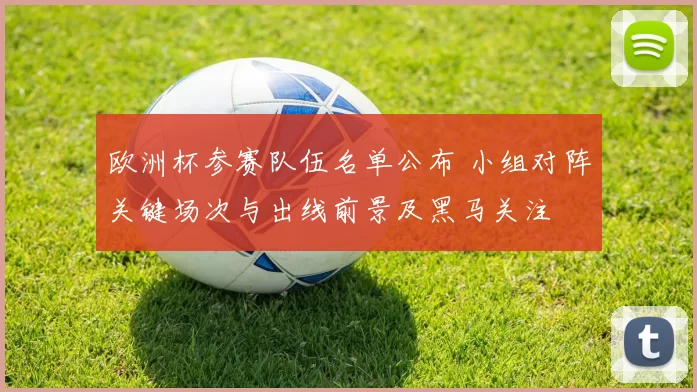 欧洲杯参赛队伍名单公布 小组对阵关键场次与出线前景及黑马关注